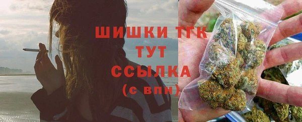 СК Великий Новгород